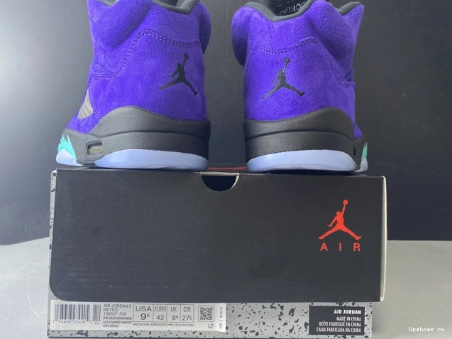 Jordan Retro Grape 136027-500 Alternate Air 5 0519